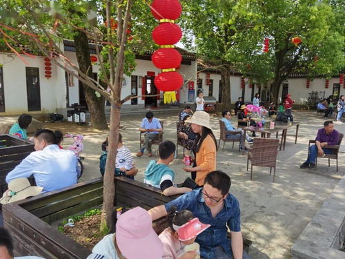 羅田假日旅游 產(chǎn)品豐富，服務文明有序