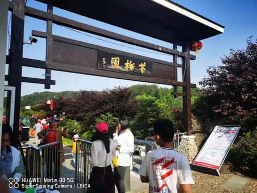 羅田假日旅游 產(chǎn)品豐富，服務文明有序